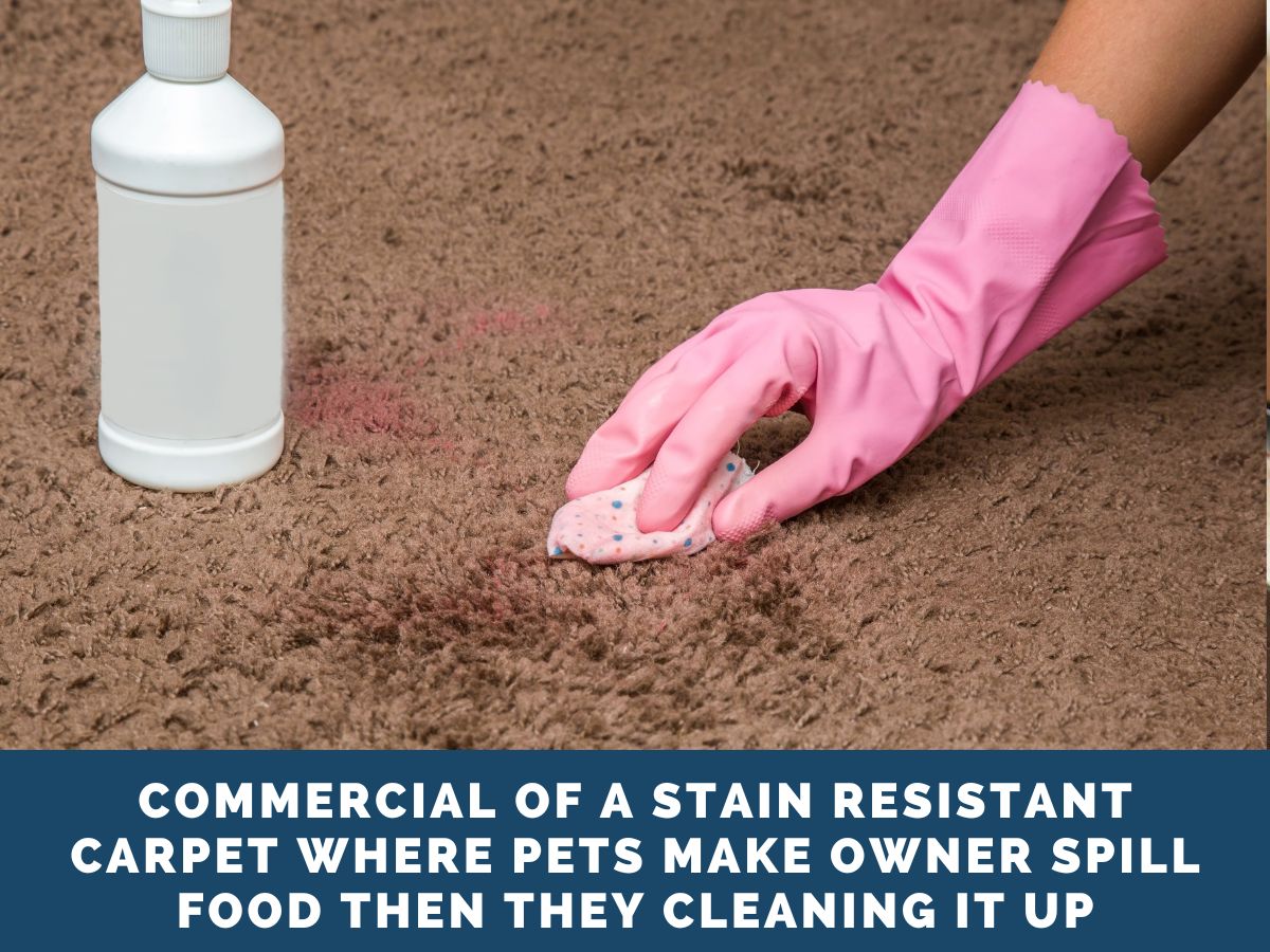 Commercial of a Stain Resistant Carpet where Pets Make Owner Spill Food Then They Cleaning it Up
